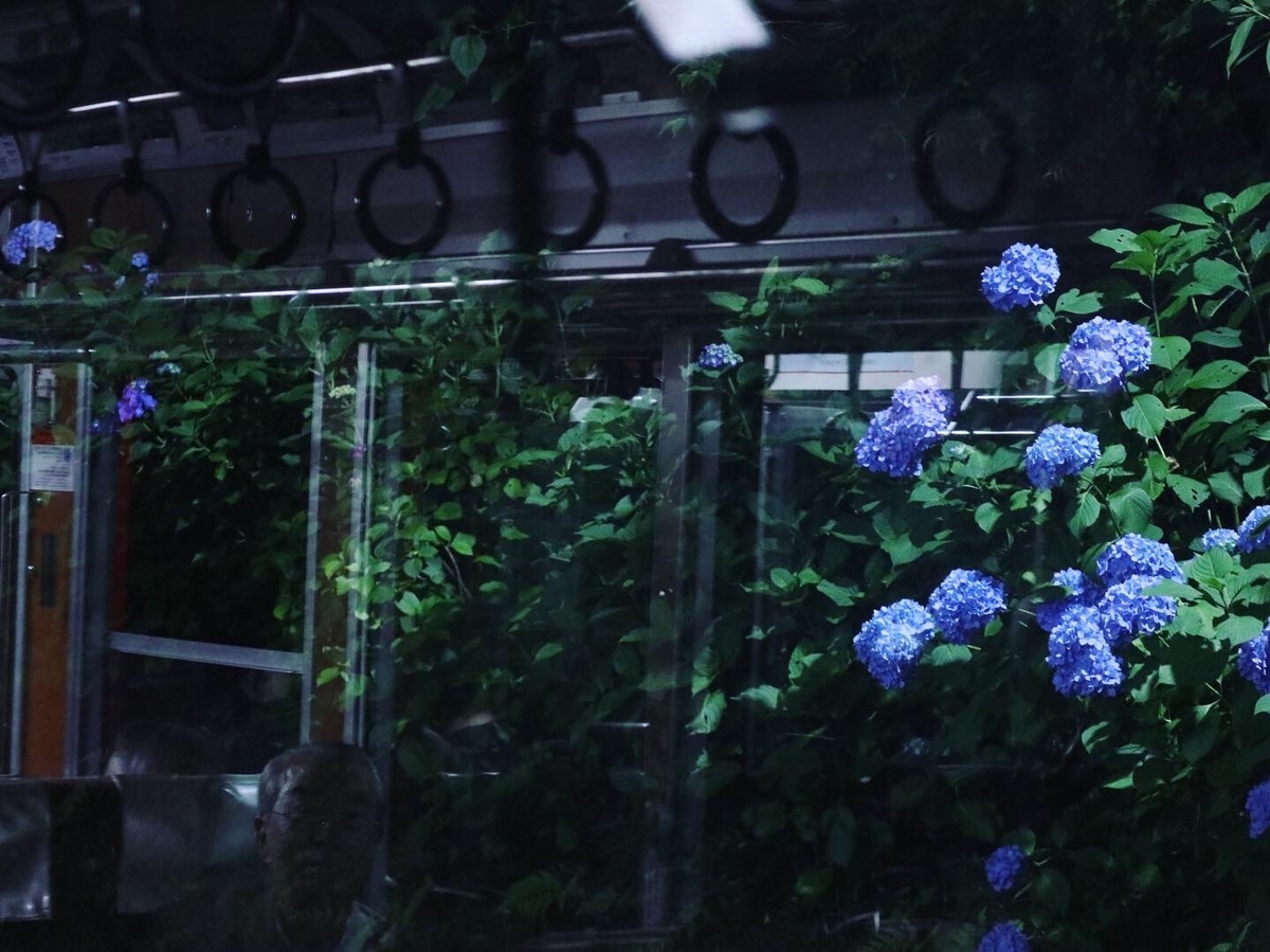 f:id:mexonline:20190718185731j:plain