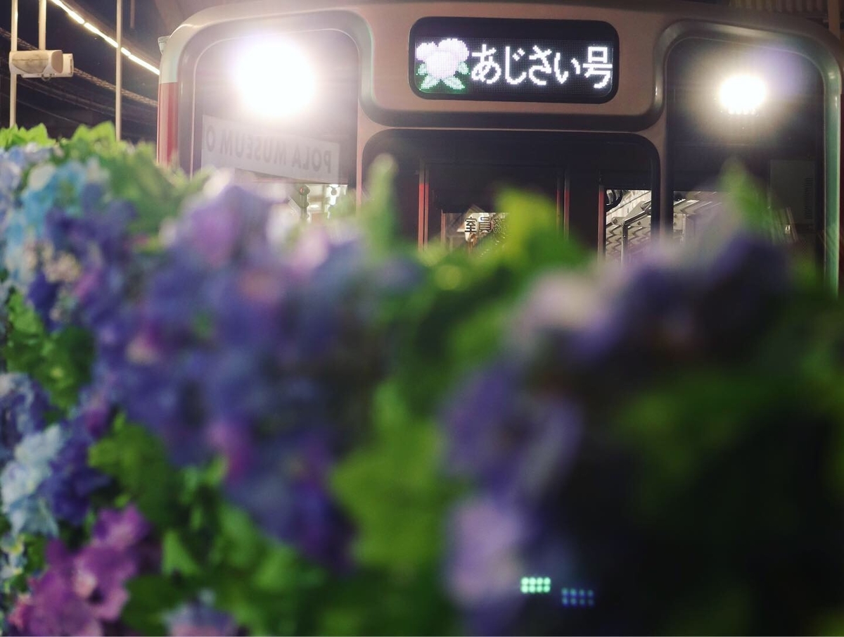 f:id:mexonline:20190718192926j:plain